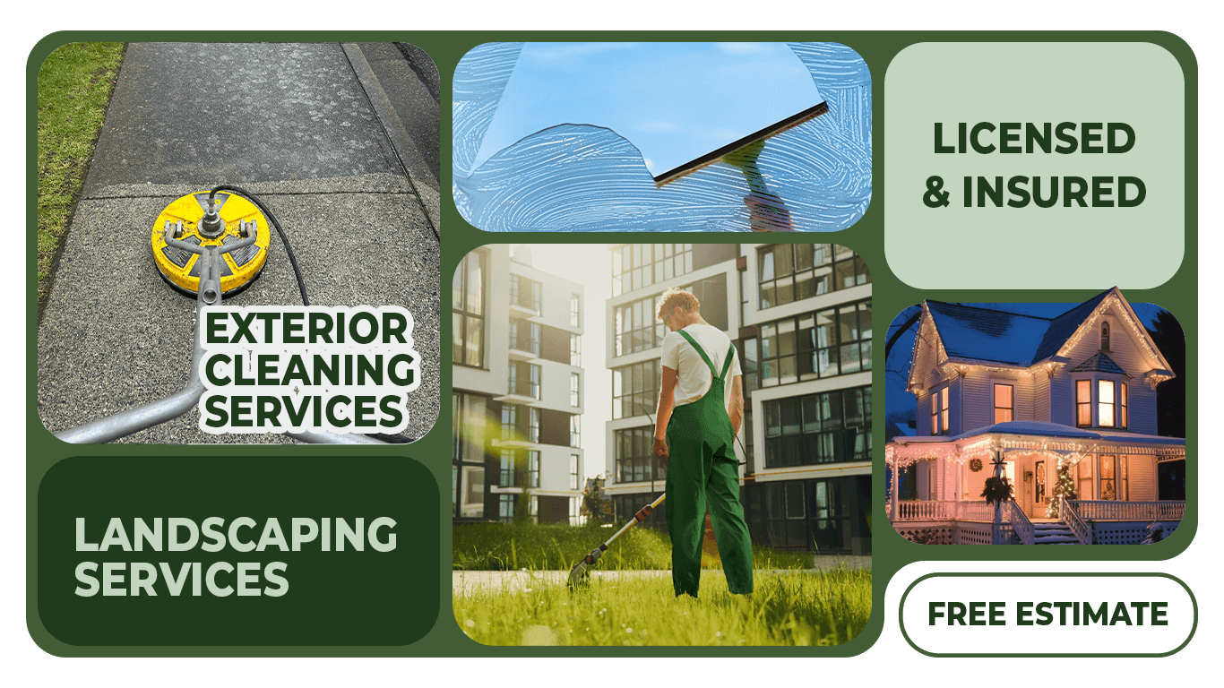 Common Gutter Cleaning Mistakes To Avoid